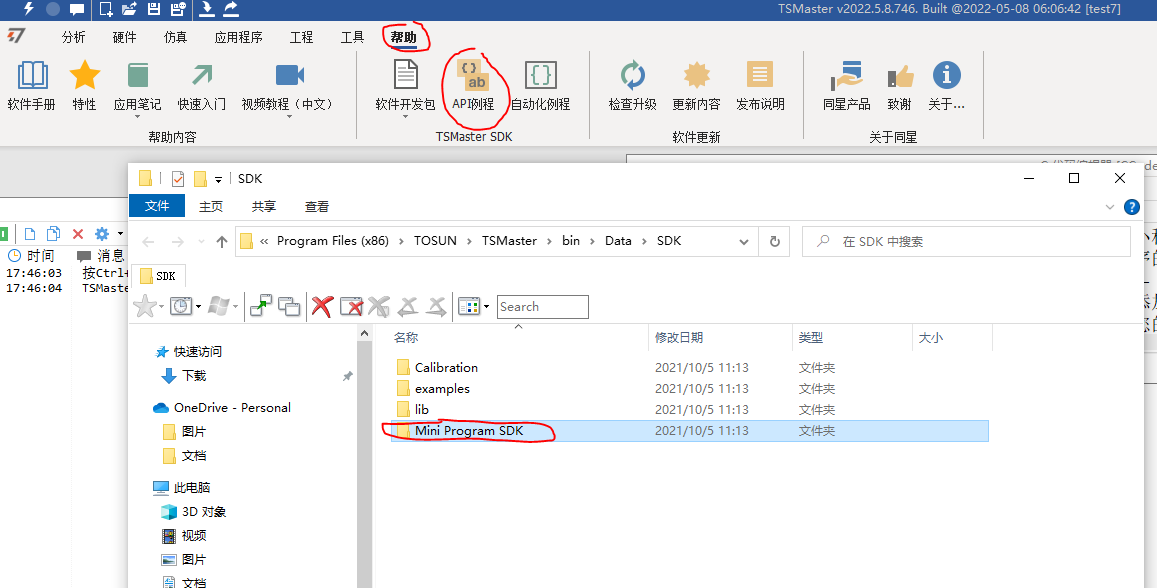 Шаблон Mini Program SDK